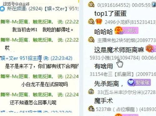 舞帝爆料聊天记录视频,一场娱乐圈的幕后风云